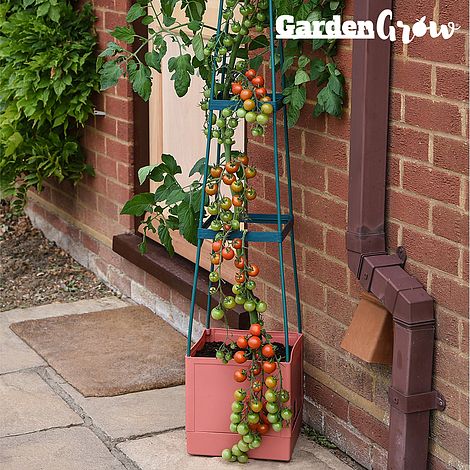 Garden Grow Self Watering Tomato Tower